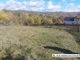 de-vanzare-2-terenuri-3500-mp-in-berevoesti-ungureni-arges-4