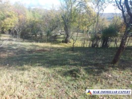 de-vanzare-2-terenuri-3500-mp-in-berevoesti-ungureni-arges-9