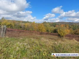 de-vanzare-2-terenuri-3500-mp-in-berevoesti-ungureni-arges-7