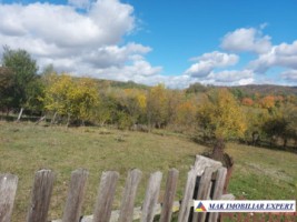de-vanzare-2-terenuri-3500-mp-in-berevoesti-ungureni-arges-14