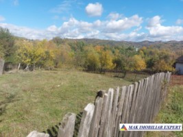 de-vanzare-2-terenuri-3500-mp-in-berevoesti-ungureni-arges-17