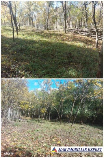 de-vanzare-2-terenuri-3500-mp-in-berevoesti-ungureni-arges-22