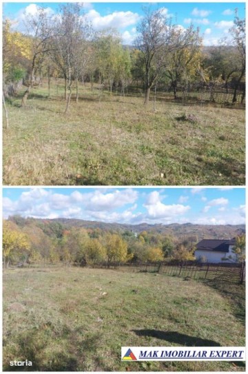 de-vanzare-2-terenuri-3500-mp-in-berevoesti-ungureni-arges-26