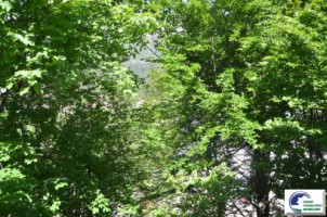 apartament-cu-2-camere-in-bustenimobilat-si-utilat-11