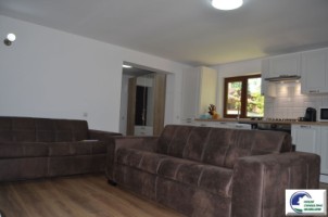 apartament-cu-2-camere-in-bustenimobilat-si-utilat-17