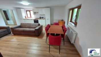 apartament-cu-2-camere-in-bustenimobilat-si-utilat-19