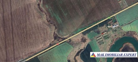 teren-extravilan-328-ha-de-vanzare-in-ghimpati-giurgiu-12