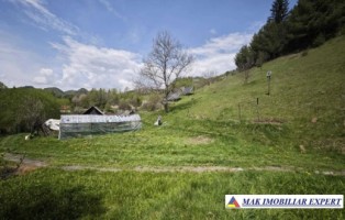 teren-2500-mp-intravilan-dambovicioara