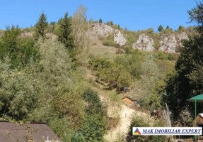 teren-2500-mp-intravilan-dambovicioara-3