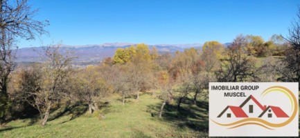 vanzare-casa-cu-4-camere-bucatarie-2-holuri-beci-cu-teren-de-10556-mp-pret-140000-euro-negociabil-13