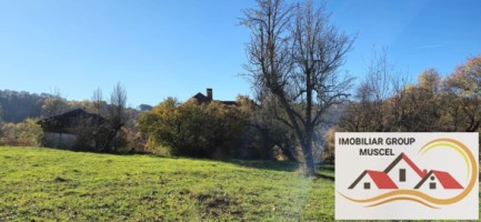 vanzare-casa-cu-4-camere-bucatarie-2-holuri-beci-cu-teren-de-10556-mp-pret-140000-euro-negociabil-12