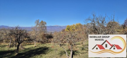 vanzare-casa-cu-4-camere-bucatarie-2-holuri-beci-cu-teren-de-10556-mp-pret-140000-euro-negociabil-11