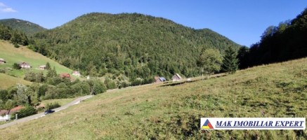 teren-intravilan-3160-mp-in-dambovicioara-ciocanu-arges-1