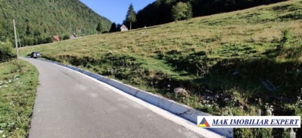 teren-intravilan-3160-mp-in-dambovicioara-ciocanu-arges
