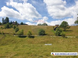 teren-intravilan-3160-mp-in-dambovicioara-ciocanu-arges-3
