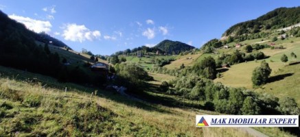 teren-intravilan-3160-mp-in-dambovicioara-ciocanu-arges-5