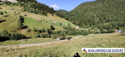 teren-intravilan-3160-mp-in-dambovicioara-ciocanu-arges-2