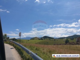 teren-intravilan-3160-mp-in-dambovicioara-ciocanu-arges-8