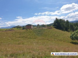 teren-intravilan-3160-mp-in-dambovicioara-ciocanu-arges-6