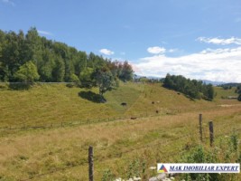 teren-intravilan-3160-mp-in-dambovicioara-ciocanu-arges-7