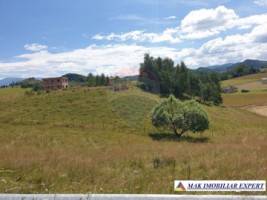 teren-intravilan-3160-mp-in-dambovicioara-ciocanu-arges-11