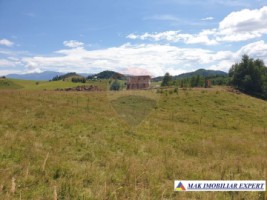 teren-intravilan-3160-mp-in-dambovicioara-ciocanu-arges-12