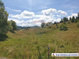 teren-intravilan-3160-mp-in-dambovicioara-ciocanu-arges-13