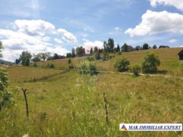 teren-intravilan-3160-mp-in-dambovicioara-ciocanu-arges-14
