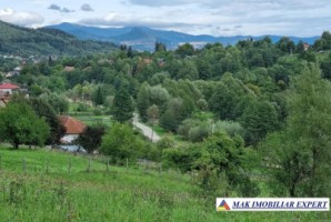 teren-intravilan-8600-mp-de-vanzare-in-bughea-de-sus-arges