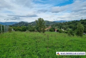 teren-intravilan-8600-mp-de-vanzare-in-bughea-de-sus-arges-1