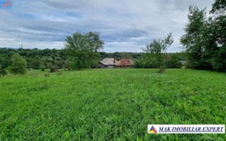 teren-intravilan-8600-mp-de-vanzare-in-bughea-de-sus-arges-11