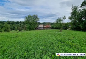 teren-intravilan-8600-mp-de-vanzare-in-bughea-de-sus-arges-8