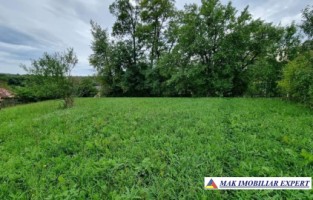 teren-intravilan-8600-mp-de-vanzare-in-bughea-de-sus-arges-9