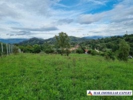 teren-intravilan-8600-mp-de-vanzare-in-bughea-de-sus-arges-10