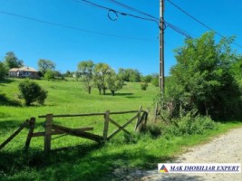 teren-intravilan-8600-mp-de-vanzare-in-bughea-de-sus-arges-14