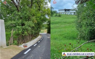 teren-intravilan-8600-mp-de-vanzare-in-bughea-de-sus-arges-19