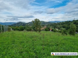 teren-intravilan-8600-mp-de-vanzare-in-bughea-de-sus-arges-2