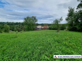 teren-intravilan-8600-mp-de-vanzare-in-bughea-de-sus-arges-3