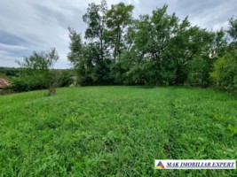teren-intravilan-8600-mp-de-vanzare-in-bughea-de-sus-arges-4