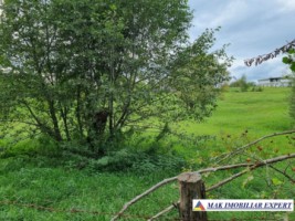 teren-intravilan-8600-mp-de-vanzare-in-bughea-de-sus-arges-6