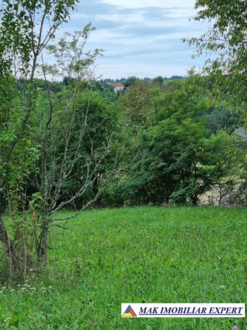 teren-intravilan-8600-mp-de-vanzare-in-bughea-de-sus-arges-16