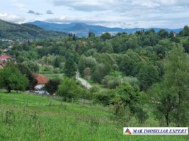 teren-intravilan-8600-mp-de-vanzare-in-bughea-de-sus-arges-7
