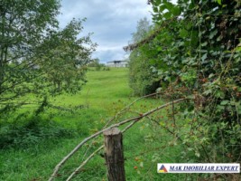teren-intravilan-8600-mp-de-vanzare-in-bughea-de-sus-arges-17
