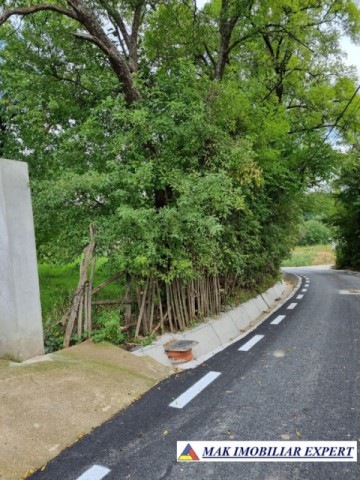 teren-intravilan-8600-mp-de-vanzare-in-bughea-de-sus-arges-18