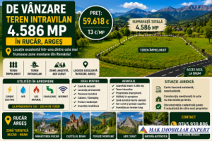 teren-4586-mp-intravilan-in-rucar-arges-0