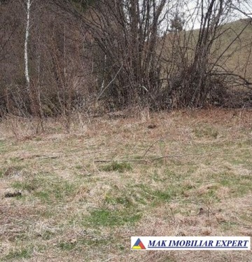 teren-extravilan-2000-mp-de-vanzare-in-dragoslavele-arges