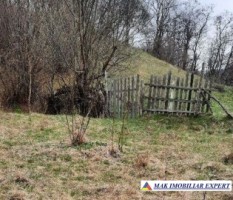 teren-extravilan-2000-mp-de-vanzare-in-dragoslavele-arges-2