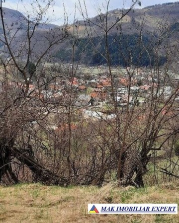 teren-extravilan-2000-mp-de-vanzare-in-dragoslavele-arges-4