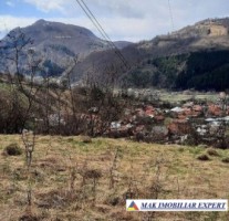 teren-extravilan-2000-mp-de-vanzare-in-dragoslavele-arges-10