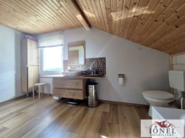 casa-in-muntii-apuseni-cu-114144-mp-teren-10
